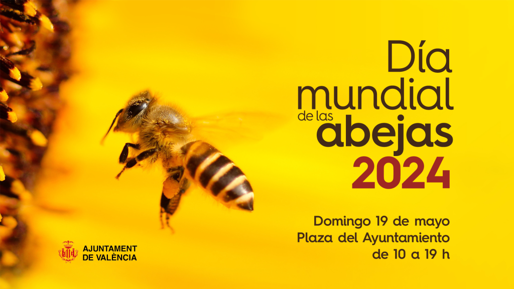 ¡Zumbando por la vida! Celebramos el Día Mundial de las Abejas