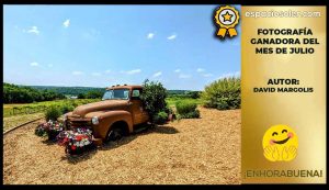 Concurso Mensual de Fotografía «Nuevas Dimensiones» ¡Conoce al ganador de julio!