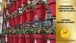 ¡Noemy Álvarez vuelve a brillar en el concurso de fotografía «Nuevas Dimensiones»!